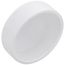 2" PVC DWV Cap