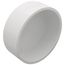 4" PVC DWV Cap