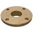 Flange Companion 2-1/2", P2046400