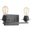 Debut 2 Light Graphite Farmhouse Bath Vanity Light