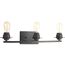 Debut 3 Light Graphite Farmhouse Bath Vanity Light
