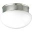 2 Light 9-1/2" Close-to-Ceiling
