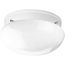 2 Light 9-1/2" Close-to-Ceiling