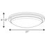 Apogee 21" LED Flush Mount