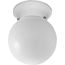 1 Light Glass Globe 6" Close-to-Ceiling