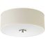 Inspire 2 Light 13" Flush Mount