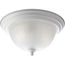 2 Light Melon 13-1/4" Close-to-Ceiling