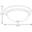 2 Light Dome Glass 13-1/4" Close-to-Ceiling