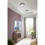 2 Light Dome Glass 13-1/4" Close-to-Ceiling