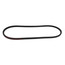 Multiple V-Belt (P463-A38)