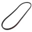 Multiple V-Belt (P463-A38)
