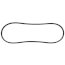 Multiple V-Belt (P463-A47)