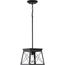 Briarwood 1 Light Textured and Cerused Black Farmhouse Style Hanging Mini-Pendant Light
