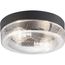 Weldon 2 Light Flush Mount