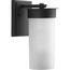 Hawthorne 1 Light Small Wall Lantern