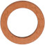 P57000 Impeller Washer