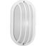 1 Light 10-1/2" Wall or Ceiling Mount Bulkhead