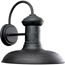Brookside 1 Light Large Wall Lantern