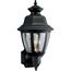 Non-Metallic Incandescent 1 Light Wall Lantern