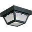 1 Light 8-1/4" Flush Mount for Indoor/Outdoor use