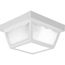 2 Light 10-1/4" Flush Mount for Indoor/Outdoor use
