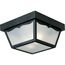 2 Light 10-1/4" Flush Mount for Indoor/Outdoor use