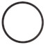 Volute Gasket (for Series 1510, 1531, 60 and PD Pumps)