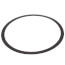 Volute Gasket (for Series 1510, 1531, 60 and PD Pumps)