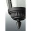 Westport 1 Light Medium Wall Lantern