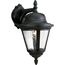 Westport 1 Light Medium Wall Lantern