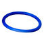 Tailpiece O-Ring