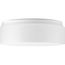 1 Light 11" LED Drum Flush Mount