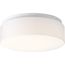 1 Light 11" LED Drum Flush Mount