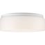 1 Light 11" LED Drum Flush Mount