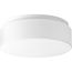 1 Light 11" LED Drum Flush Mount