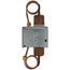 Differential Pressure SPDT 2 to 26 Adjustable psi with 1/4" Flare Nut
