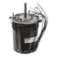Motor, .75 HP, 208-230/460V, CK48BS15FF01-60