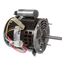 Motor, 1/2 HP, 115/230V, 1625 RPM, CK48HF21HF01-60-115