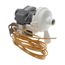 Condensate Pump, 141957J