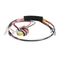 Wire Harness Assembly, 2567601
