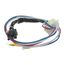 Wire Harness Assembly, 6025935