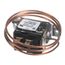 Thermostat Cooler BB Evaportor, 21901001