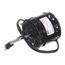 1/20 HP 230V 1800 RPM Evap Motor, 25315601S