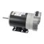 460V 3/4 HP 850 RPM 2Spd Motor, 25328301