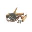 Expansion Valve, SBFDE-B-Z, 3031914