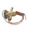 Valve-Expansion 95+2PSIG Capacity 5, 100679-39