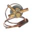 Valve-Expansion, 100679-55