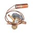 Valve-Expansion 92+/-2 PSIG, 5T, 100679-67