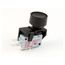 Switch, Mcd Smoothie, 2162731