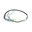 Harness, Blender Power, 2186894